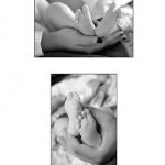 Roy Llera Photographers